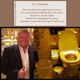 Trump Toilet