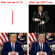 Trump Puppet
